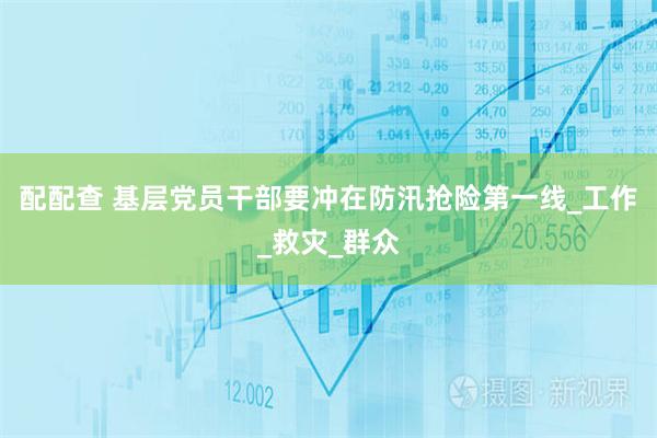 配配查 基层党员干部要冲在防汛抢险第一线_工作_救灾_群众