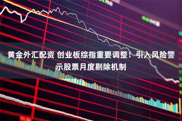 黄金外汇配资 创业板综指重要调整！引入风险警示股票月度剔除机制